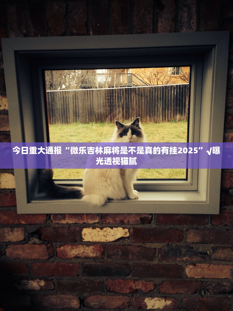 分享实测葫芦鱼其实有挂确实是有挂原来真可以开挂 分享实测葫芦鱼其实有挂确实是有挂原来真可以开挂