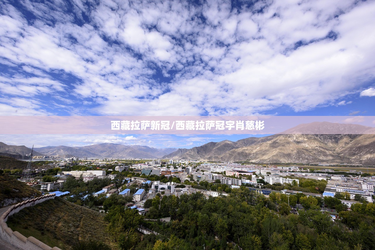 西藏拉萨新冠/西藏拉萨冠宇肖慈彬