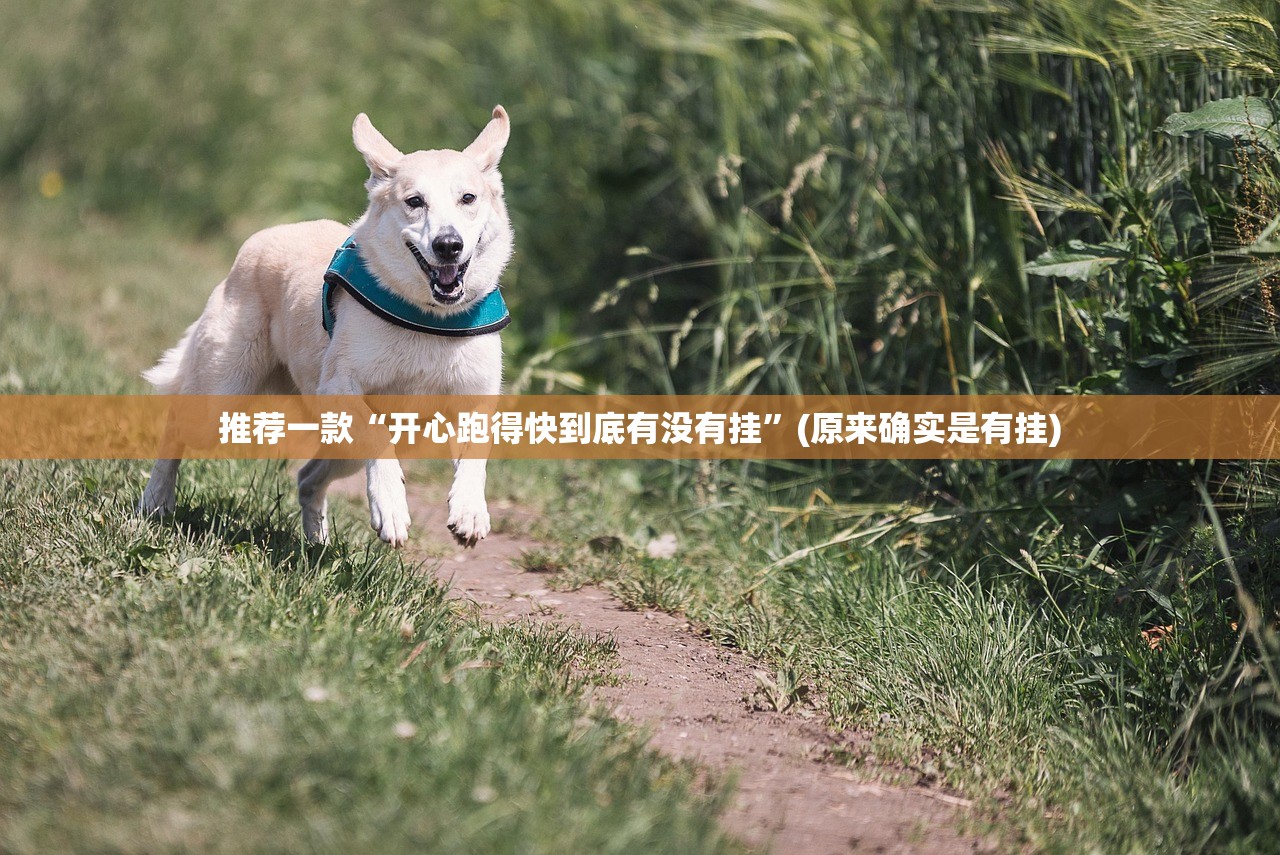 重大通报老地方游戏开挂软件分享真的有挂给你