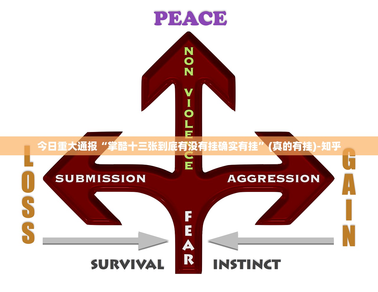今日重大通报“掌酷十三张到底有没有挂确实有挂”(真的有挂)-知乎