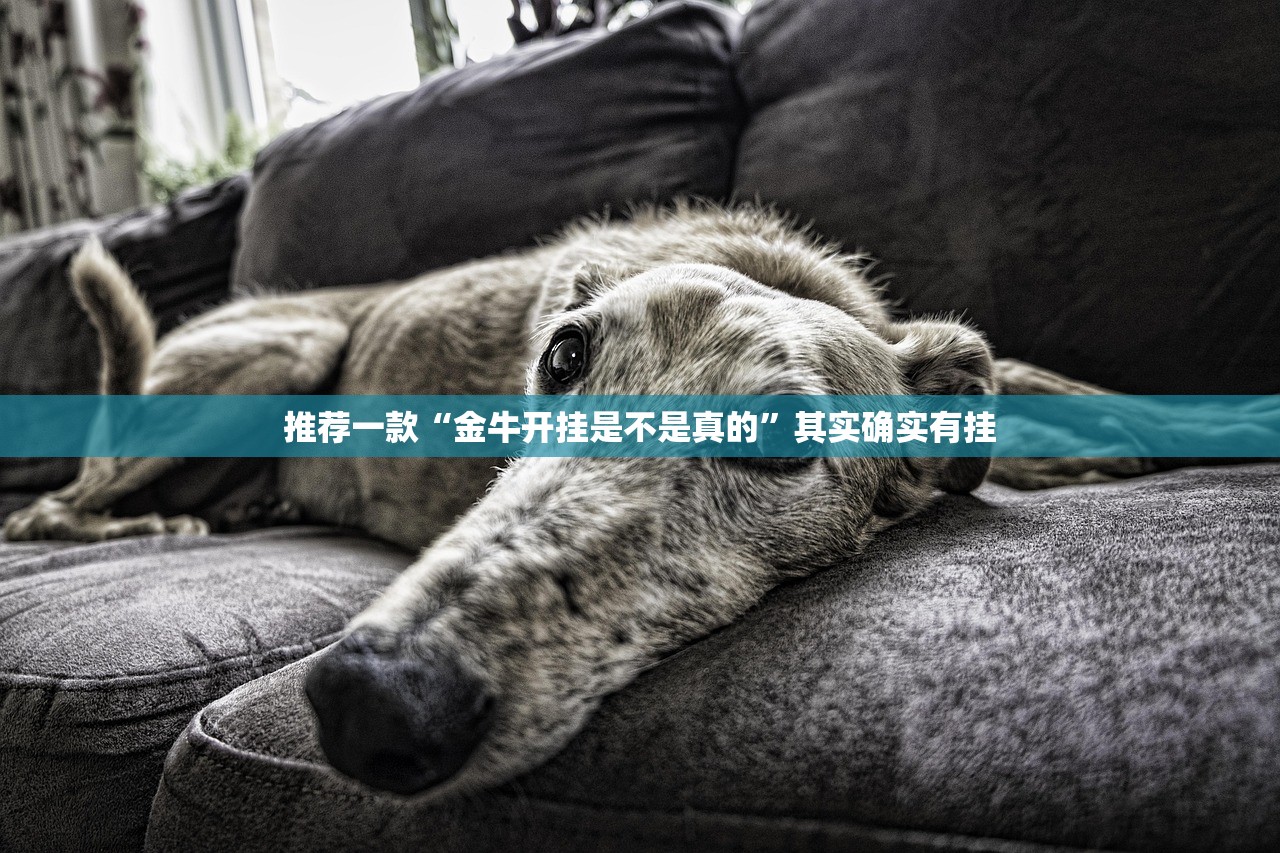 推荐一款“金牛开挂是不是真的”其实确实有挂