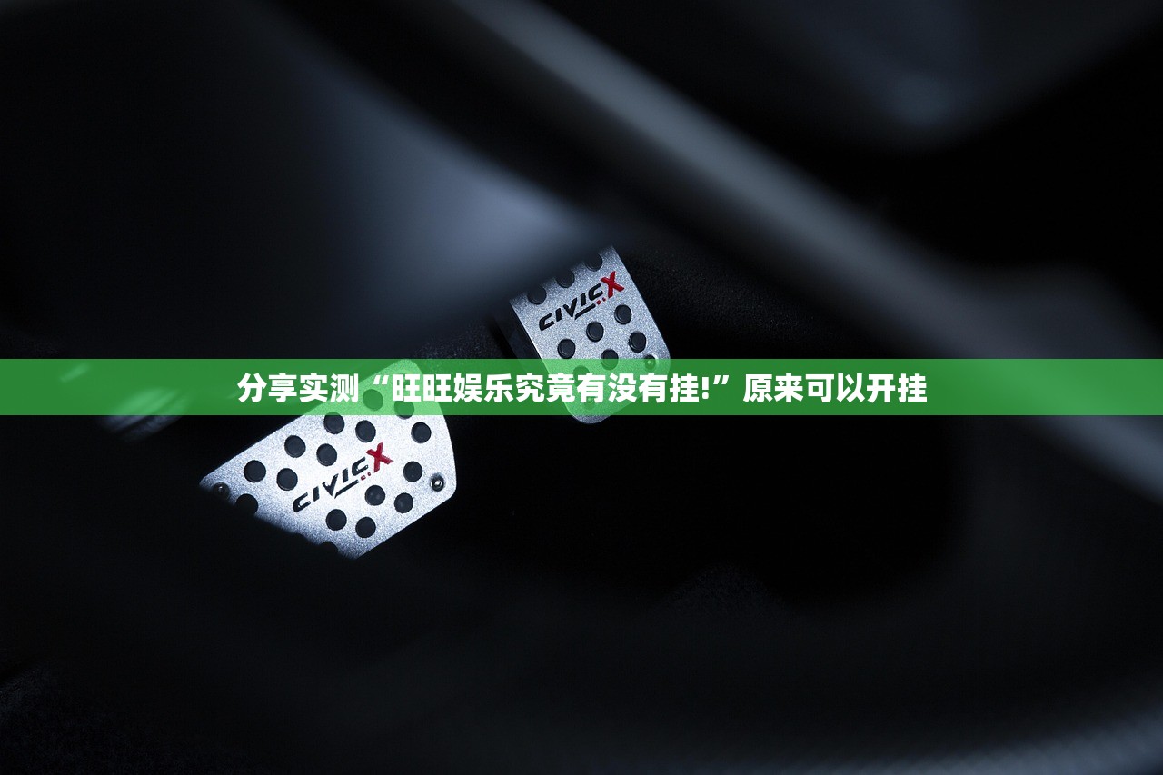 分享实测家乡鹤游可以开挂吗!原来可以开挂