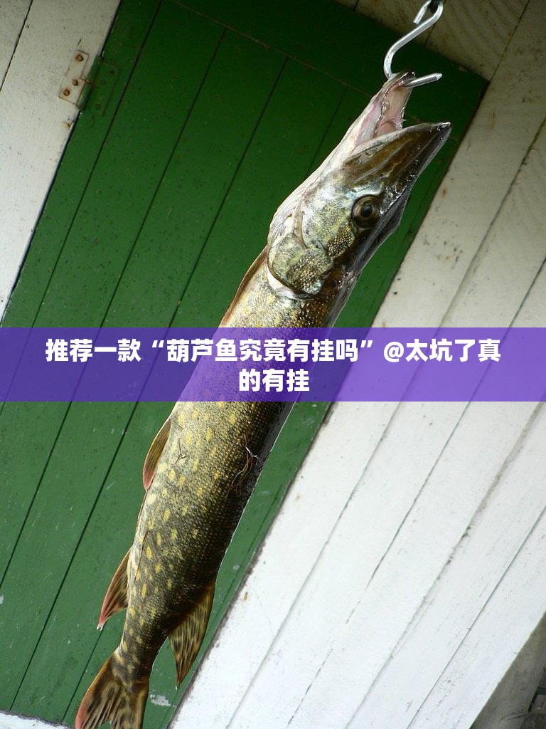 推荐一款“葫芦鱼究竟有挂吗”@太坑了真的有挂