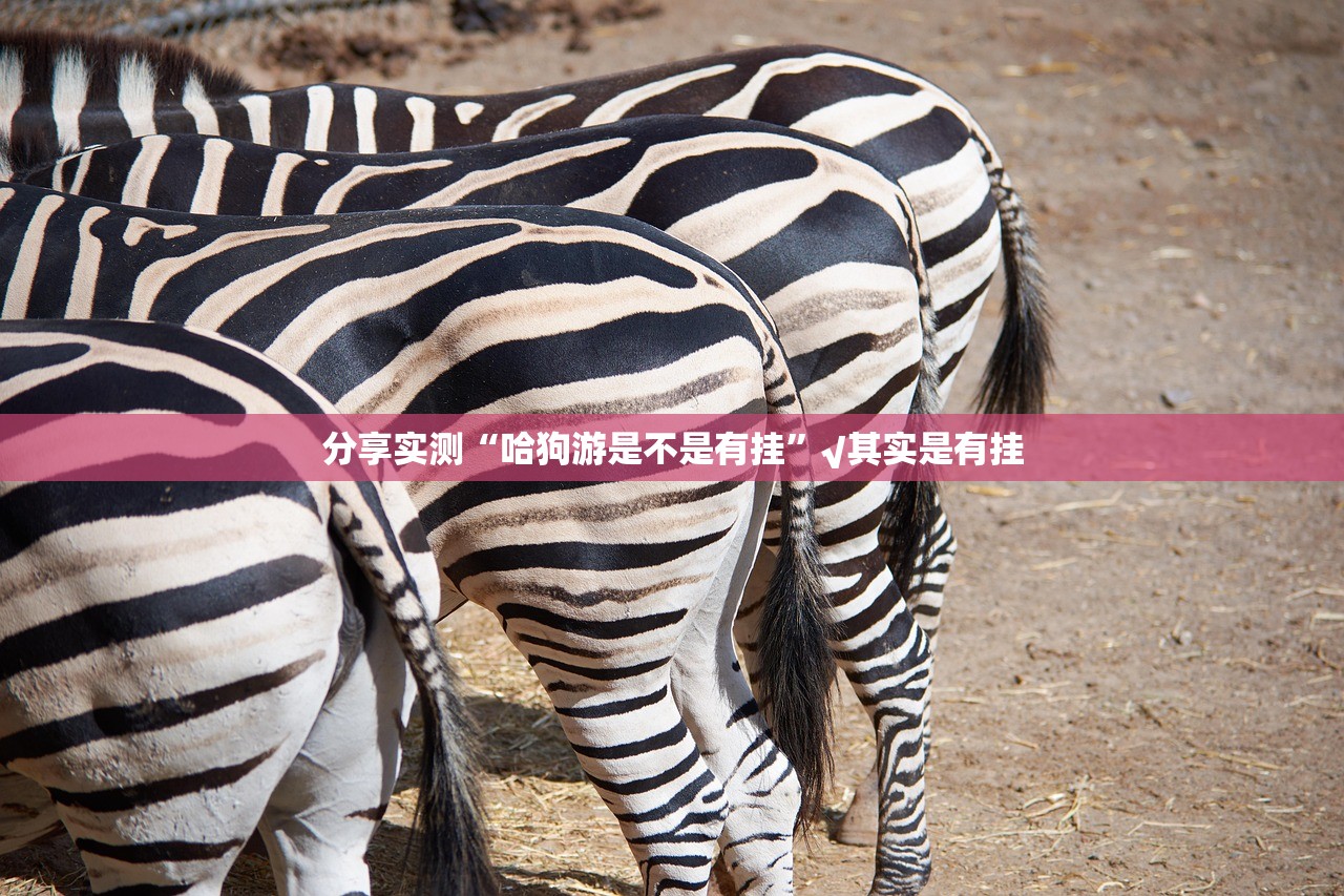 分享实测闲来互娱果然有挂√太坑了原来有挂 分享实测闲来互娱果然有挂√太坑了原来有挂