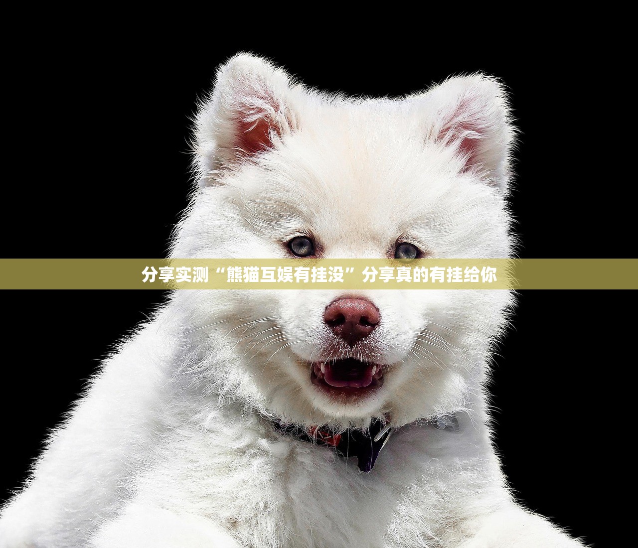 分享实测“熊猫互娱有挂没”分享真的有挂给你 分享实测“熊猫互娱有挂没”分享真的有挂给你