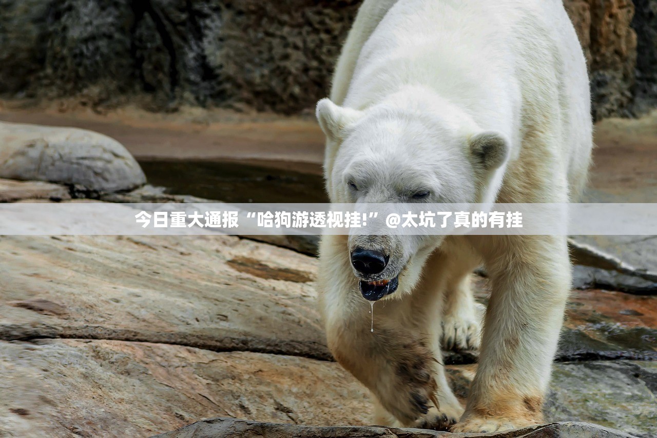 今日重大通报喜扣游戏到底有挂吗(确实有挂)