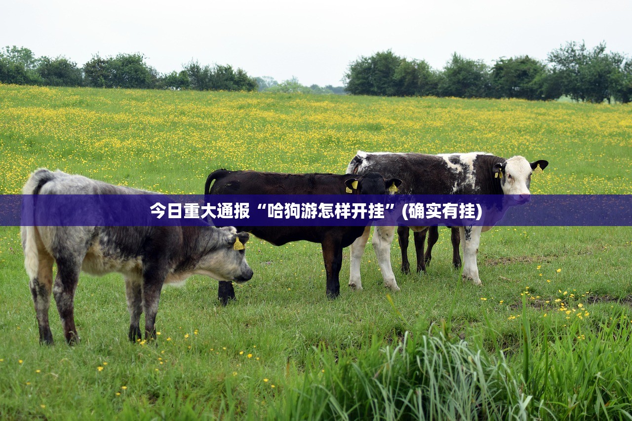 今日重大通报“哈狗游怎样开挂”(确实有挂) 今日重大通报“哈狗游怎样开挂”(确实有挂)