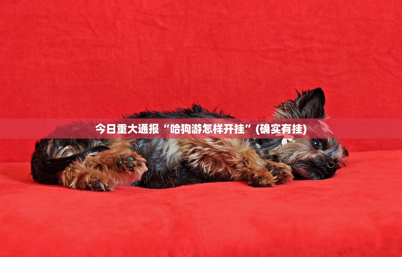 推荐一款万顺真的可以开挂真的有挂√其实是有挂 推荐一款万顺真的可以开挂真的有挂√其实是有挂