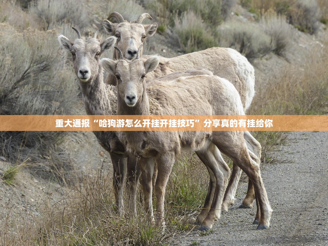 重磅.来袭新时代其实是可以开挂!确实能开挂(其实真的能开挂)