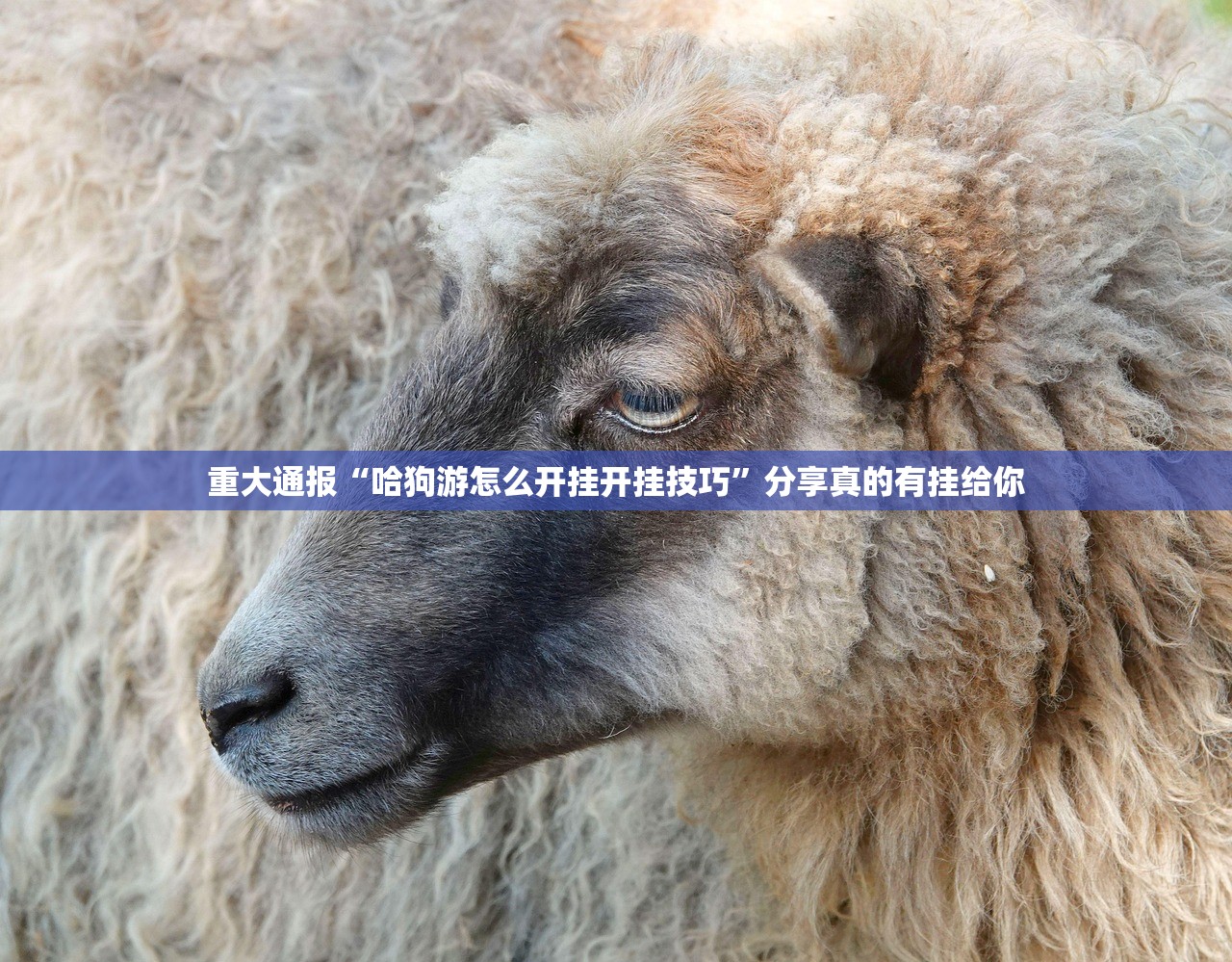 重大通报“哈狗游怎么开挂开挂技巧”分享真的有挂给你 重大通报“哈狗游怎么开挂开挂技巧”分享真的有挂给你