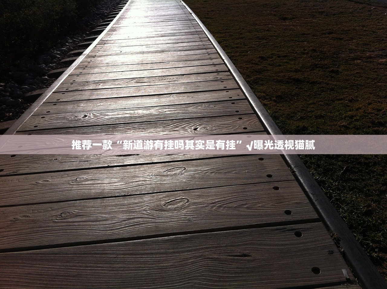 推荐一款小牛快跑真的其实有挂开挂神器