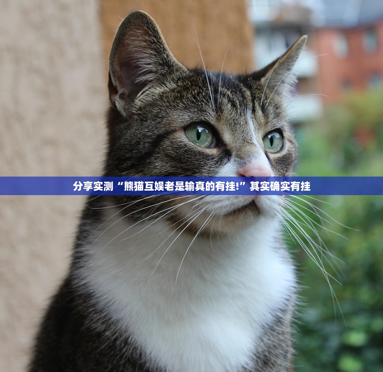 今日重大通报快乐碰胡开挂神器其实有挂-知乎