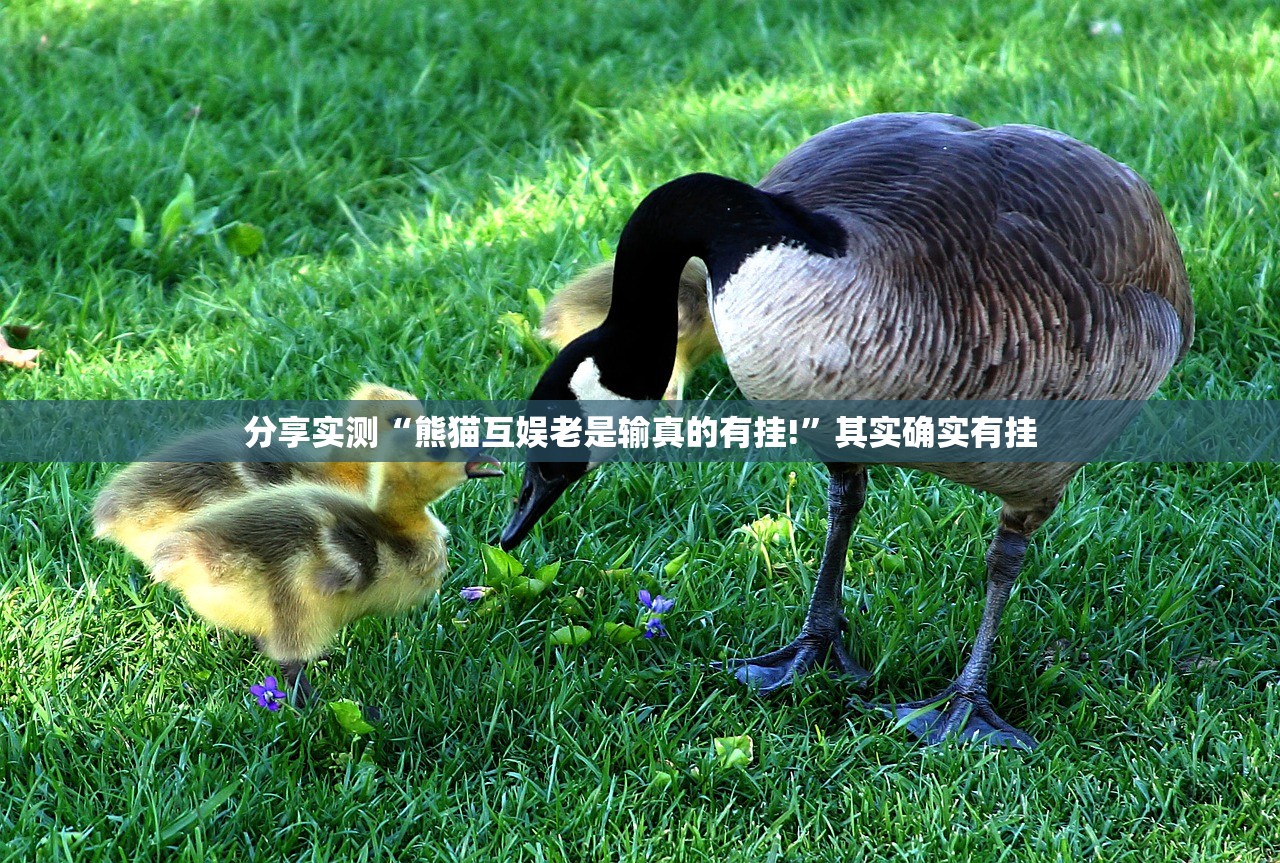 重磅.来袭鱼扑克有挂吗其实是有挂2025（果然有挂）