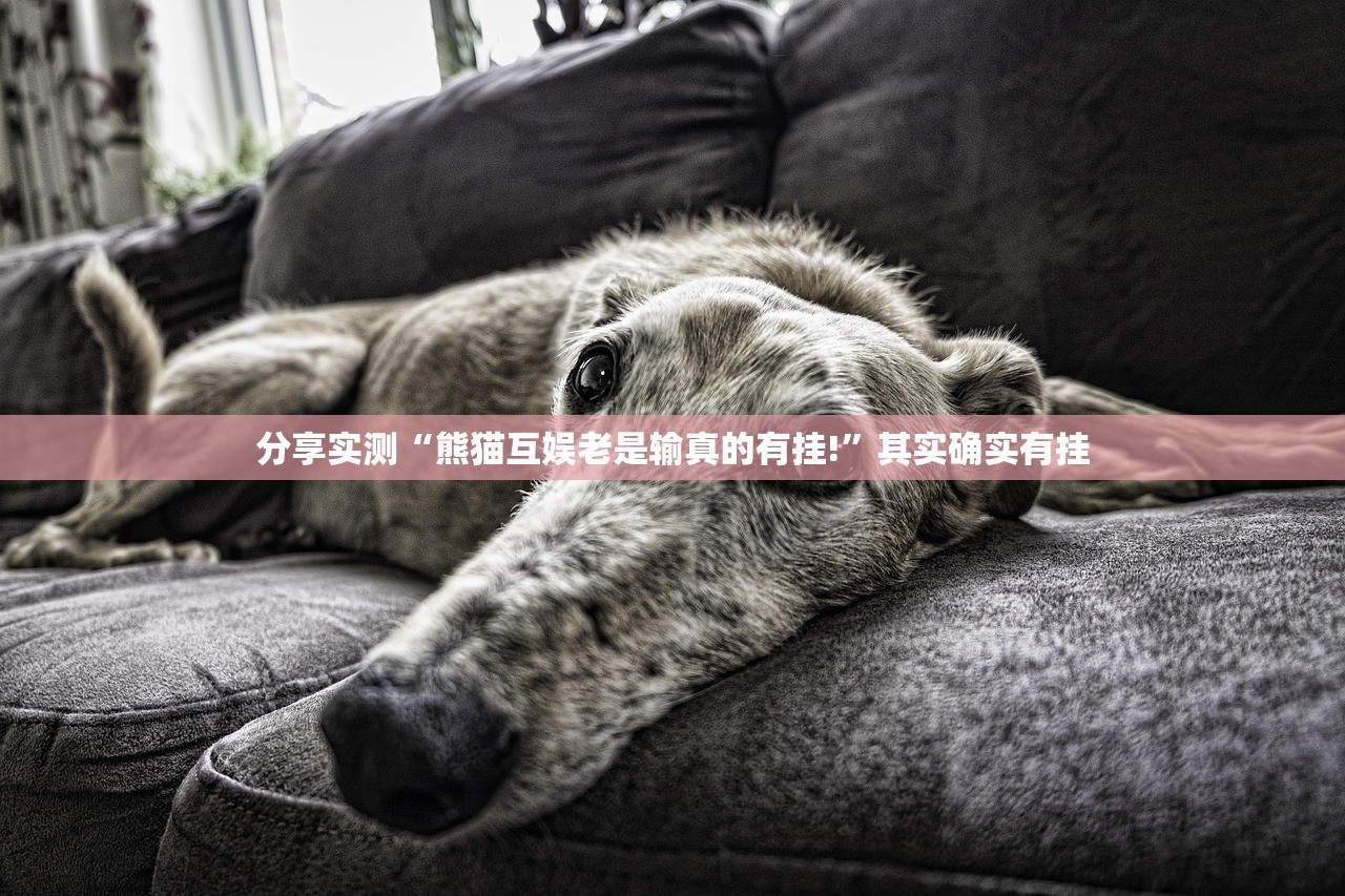 分享实测“熊猫互娱老是输真的有挂!”其实确实有挂 分享实测“熊猫互娱老是输真的有挂!”其实确实有挂