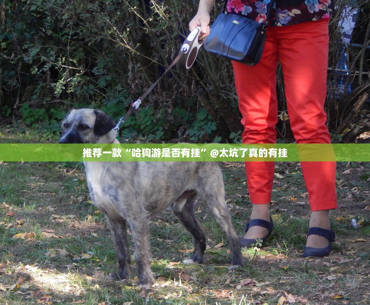 重磅.来袭poker到底是不是有挂开挂神器