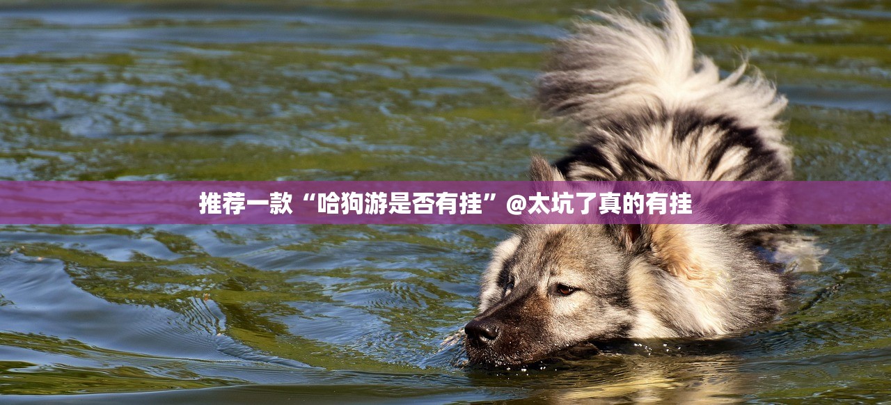 重磅.来袭开元棋牌可以开挂吗!其实确实有挂 重磅.来袭开元棋牌可以开挂吗!其实确实有挂
