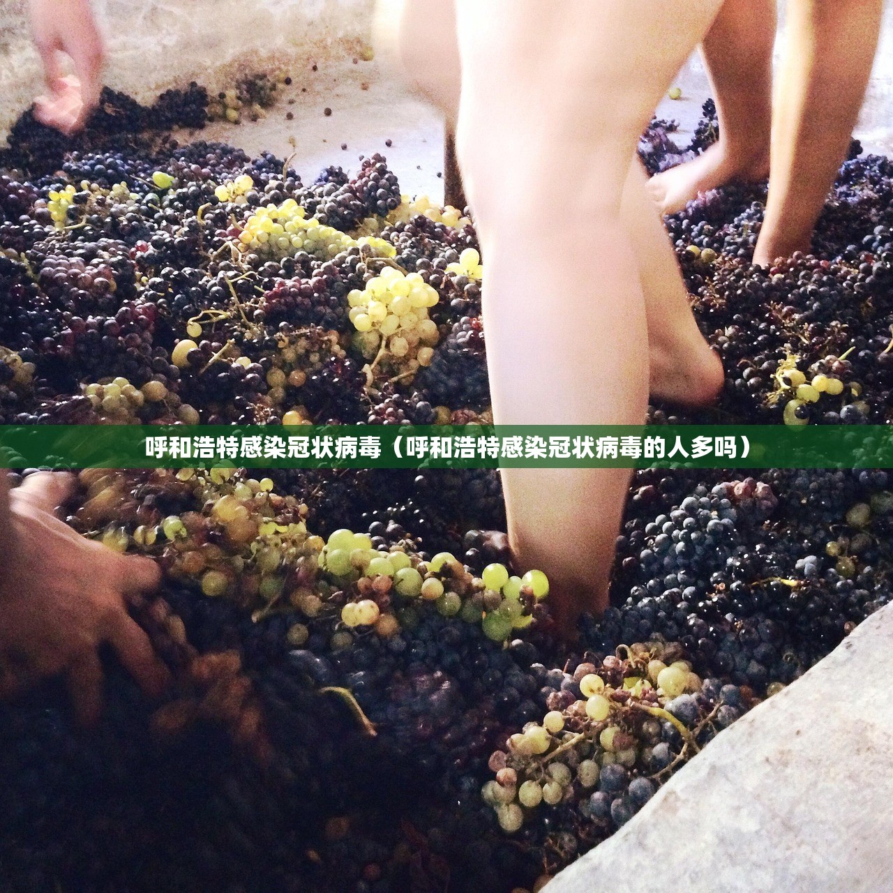 推荐一款天天乐清麻将怎么买挂其实真的确实有挂