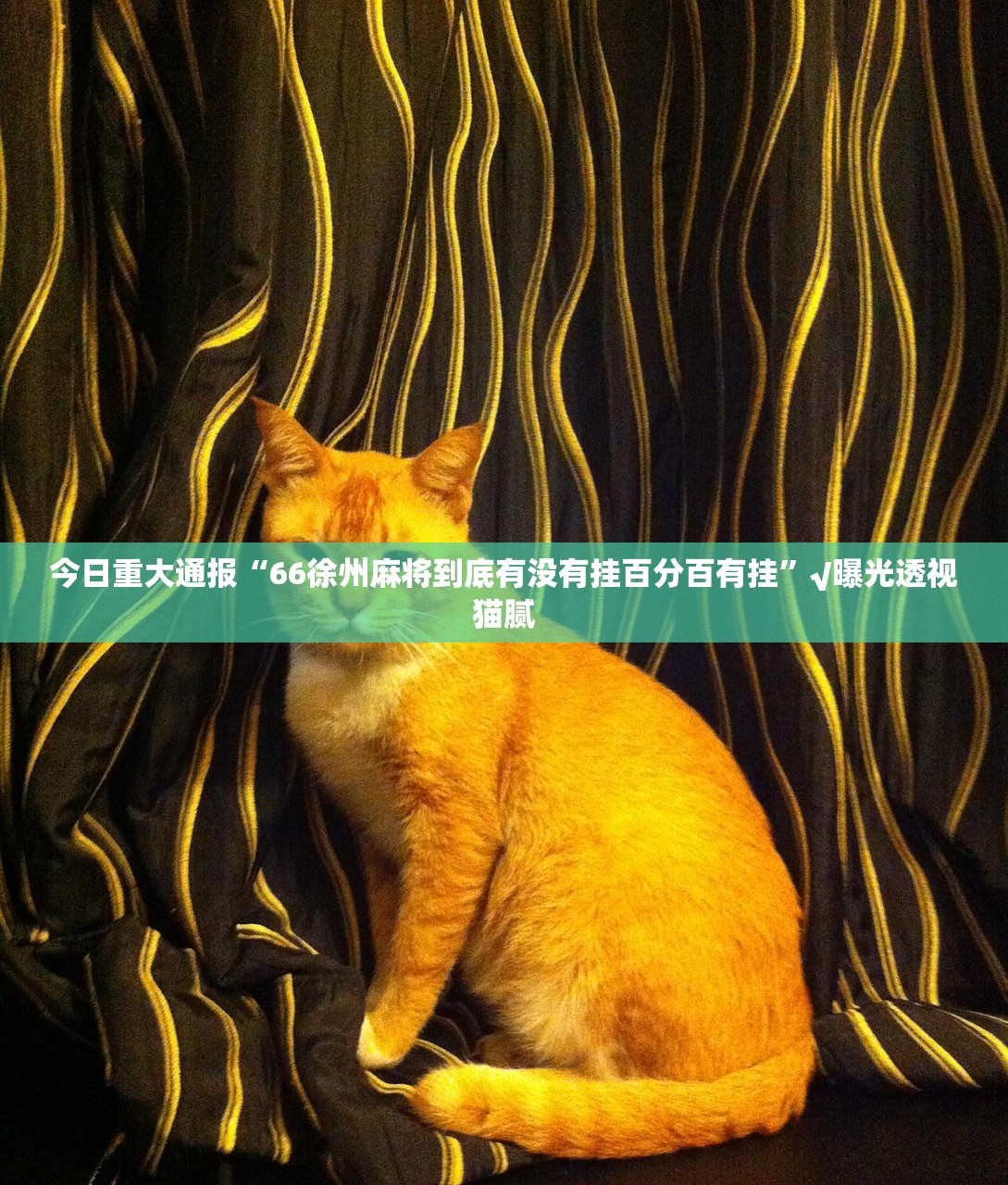 重磅.来袭竞技馆开挂辅助软件原来可以开挂 重磅.来袭竞技馆开挂辅助软件原来可以开挂