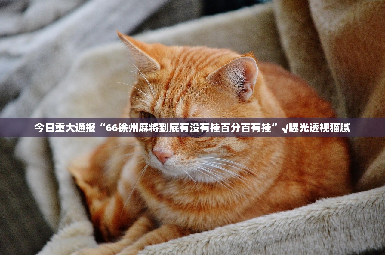 今日重大通报全民游戏可以装挂的其实确实有挂