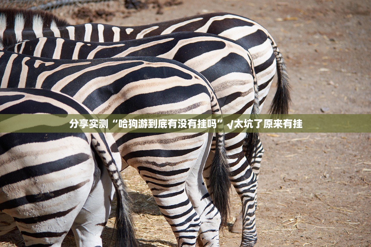 推荐一款微乐家乡麻将开挂在哪里买呢(真的有挂)-知乎