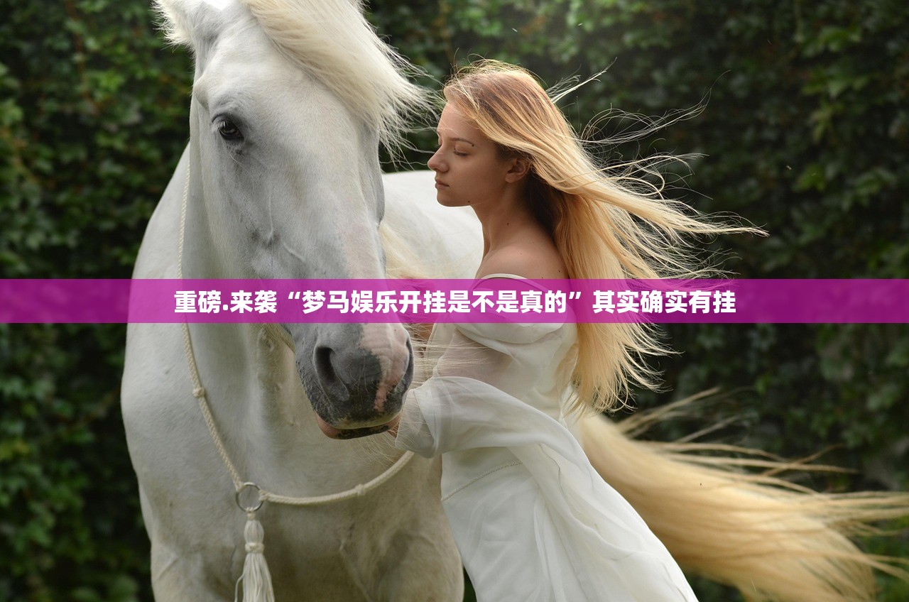 推荐一款飞驰娱乐到底有挂吗确实真的有挂