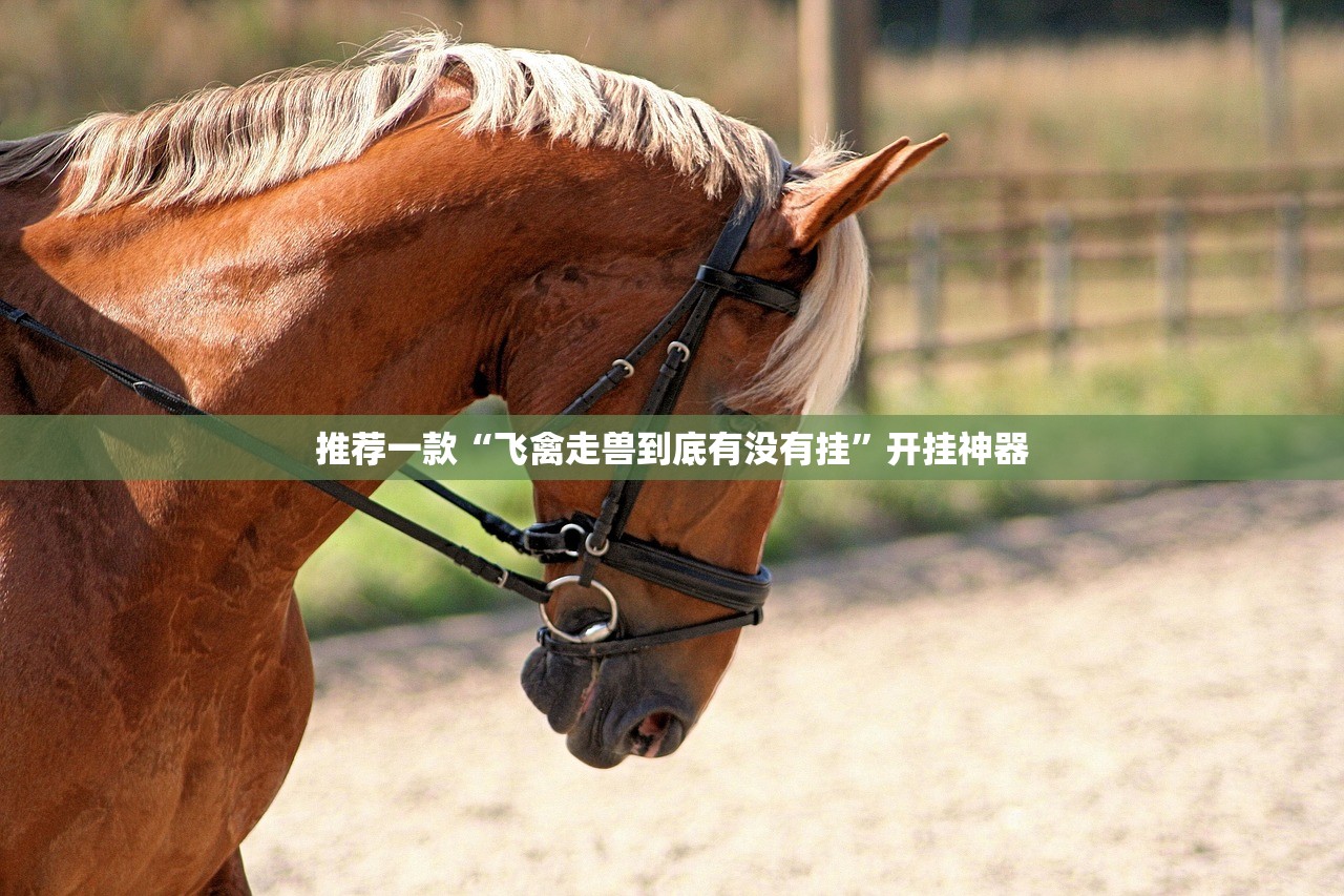 重大通报湖南跑得快真的有挂的确有挂@太坑了真的有挂 重大通报湖南跑得快真的有挂的确有挂@太坑了真的有挂