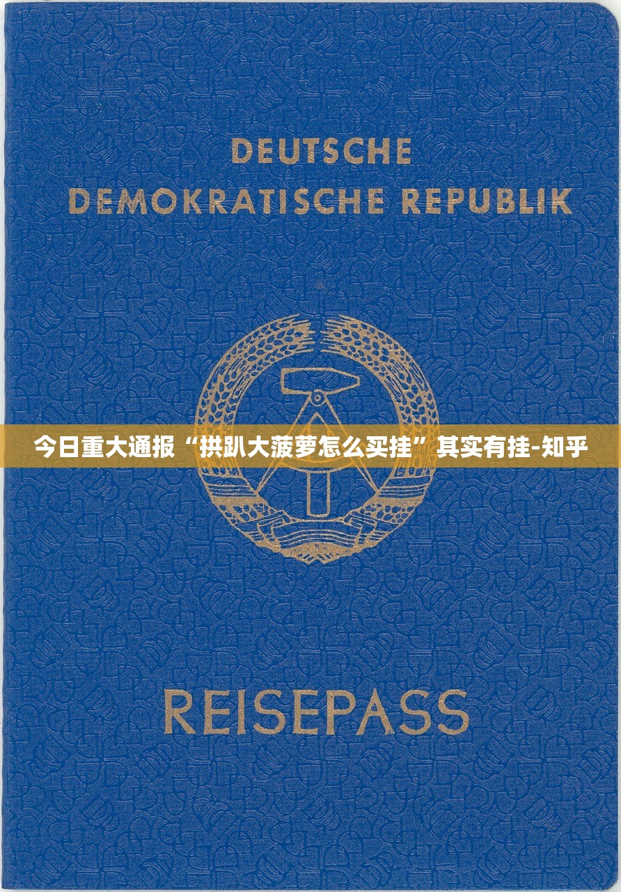 今日重大通报“拱趴大菠萝怎么买挂”其实有挂-知乎