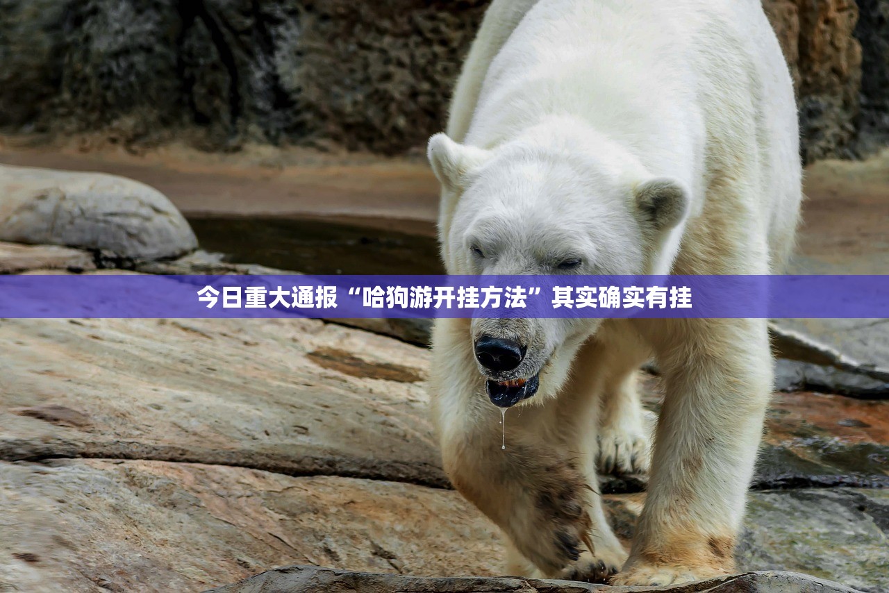 重大通报憨憨棋牌有开挂辅助软件吗确实真的有挂