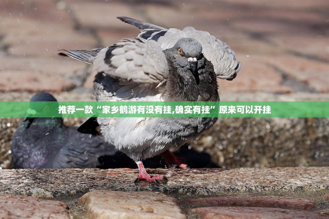 推荐一款“家乡鹤游有没有挂,确实有挂”原来可以开挂 推荐一款“家乡鹤游有没有挂,确实有挂”原来可以开挂