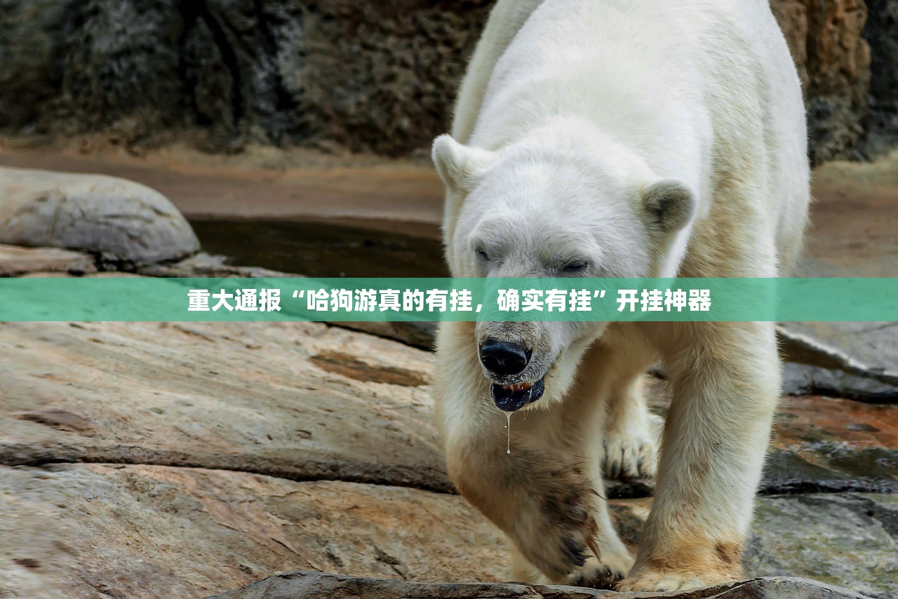 推荐一款星火燎原的确有挂确实有挂√其实是有挂