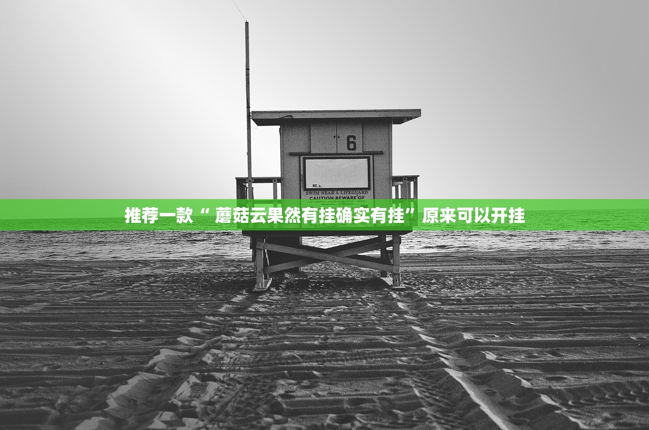 分享实测柚子联盟其实能开挂√太坑了原来有挂