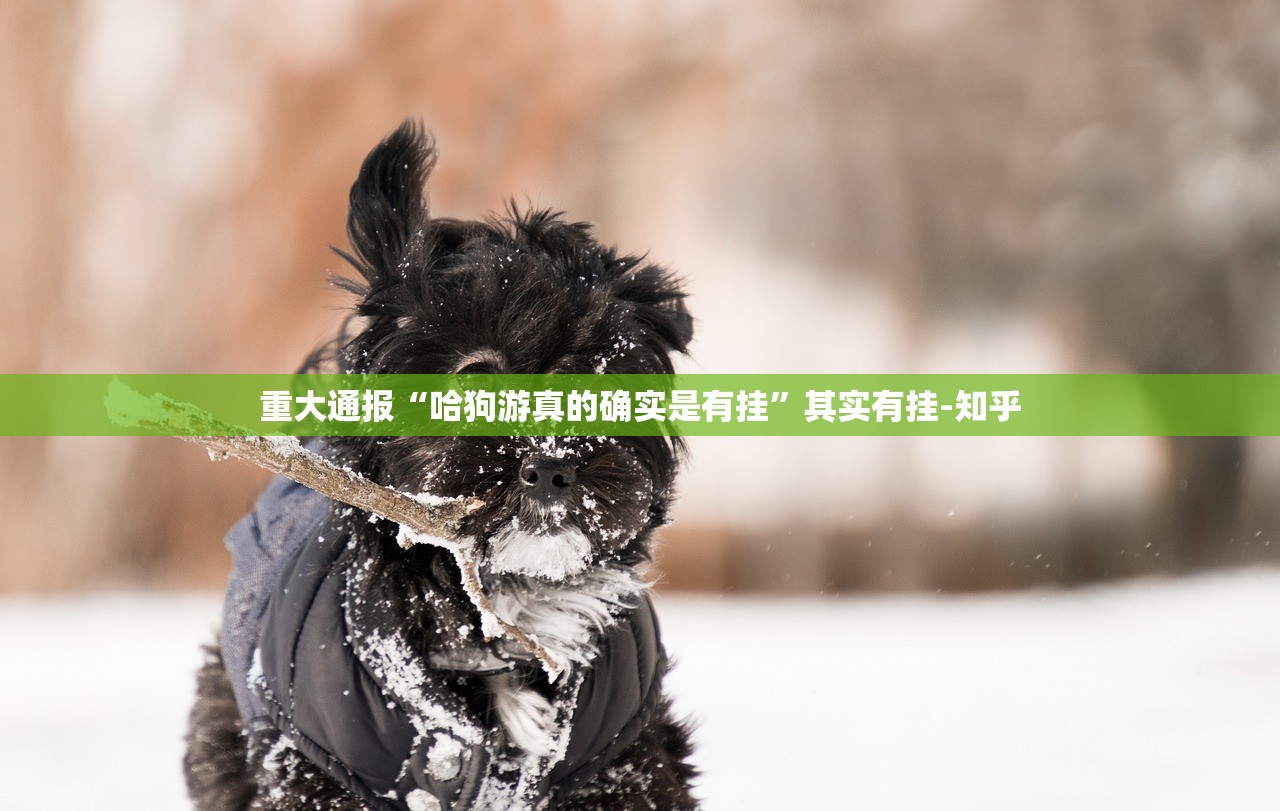 重大通报传送屋透视挂软件(真的有挂)-知乎