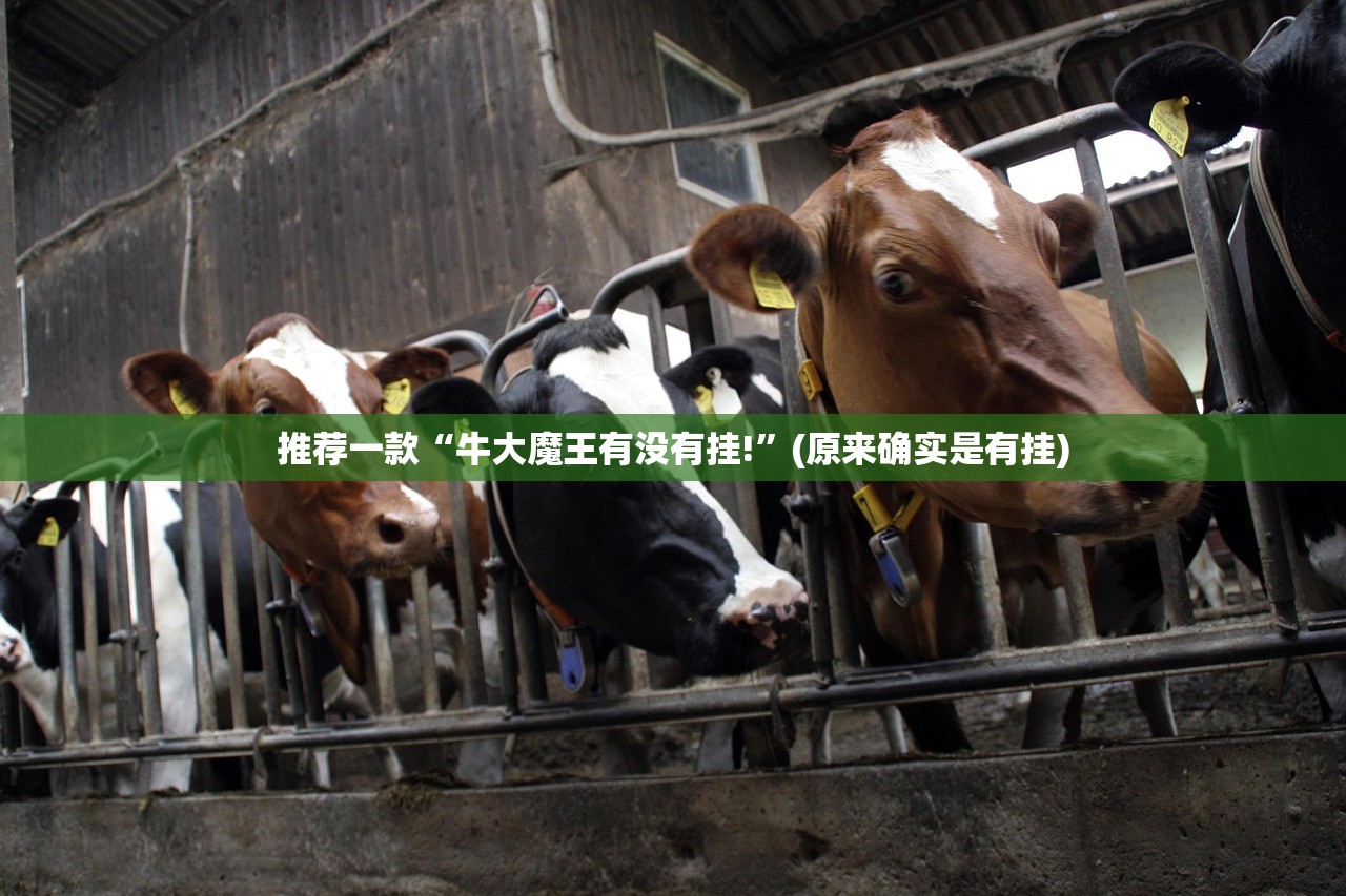 推荐一款浙衢麻将必赢神器(原来确实是有挂) 推荐一款浙衢麻将必赢神器(原来确实是有挂)