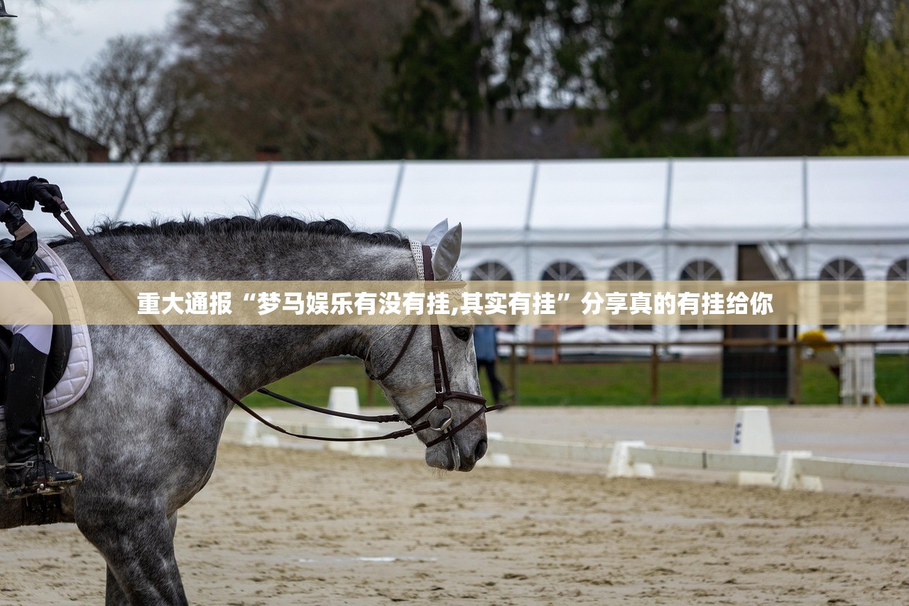 分享实测中至赣牌圈包王怎么买挂(确实有挂)