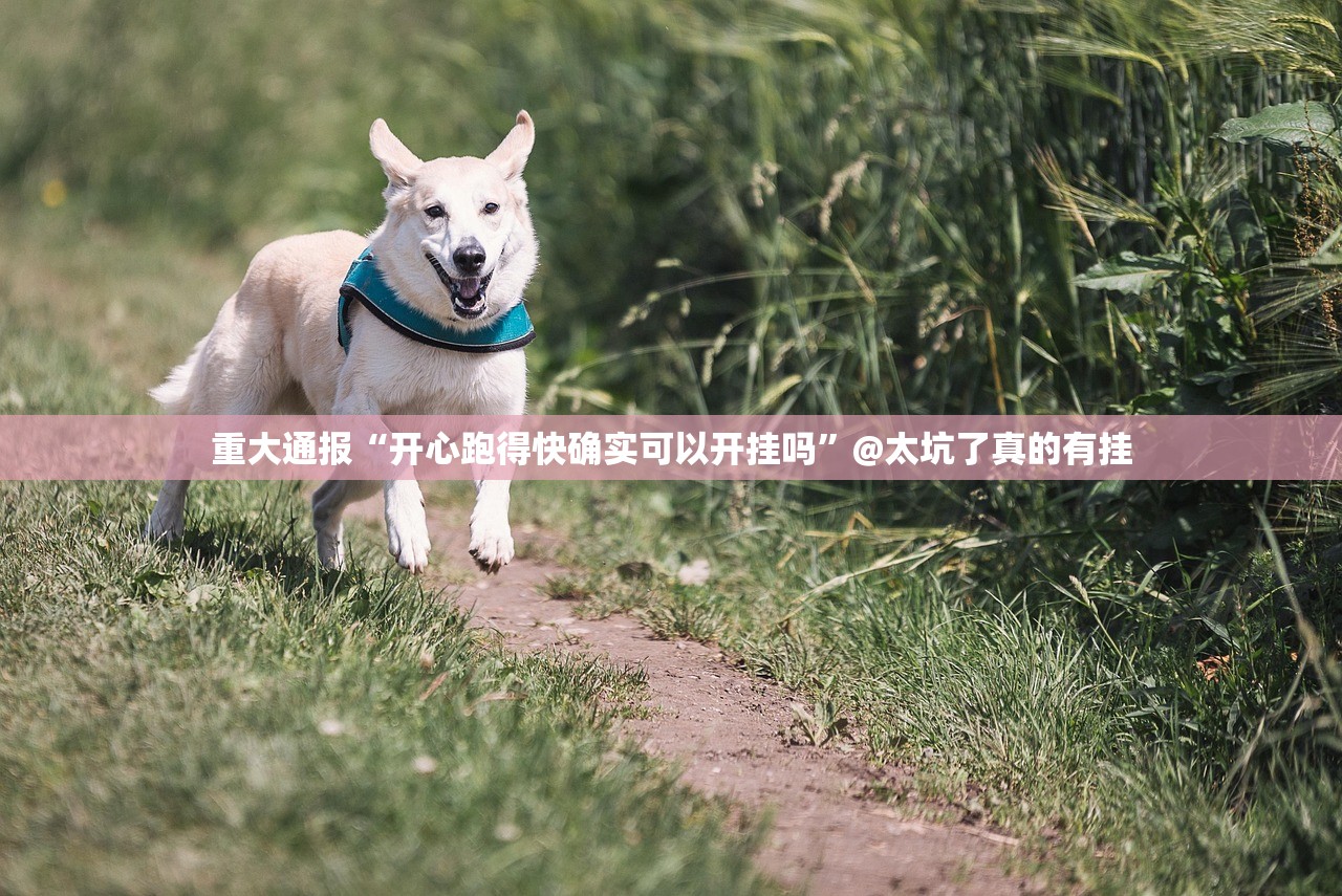 重大通报“开心跑得快确实可以开挂吗”@太坑了真的有挂 重大通报“开心跑得快确实可以开挂吗”@太坑了真的有挂