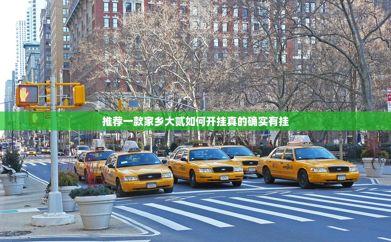 推荐一款家乡大贰如何开挂真的确实有挂
