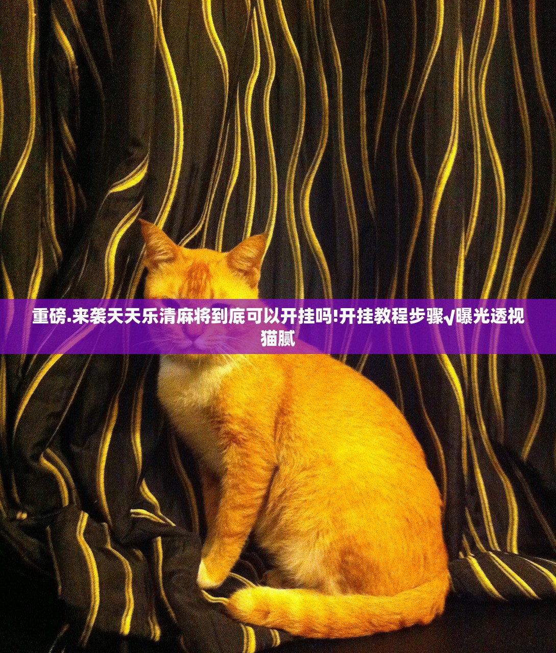 重大通报四海互娱其实是可以开挂!确实能开挂其实有挂-知乎