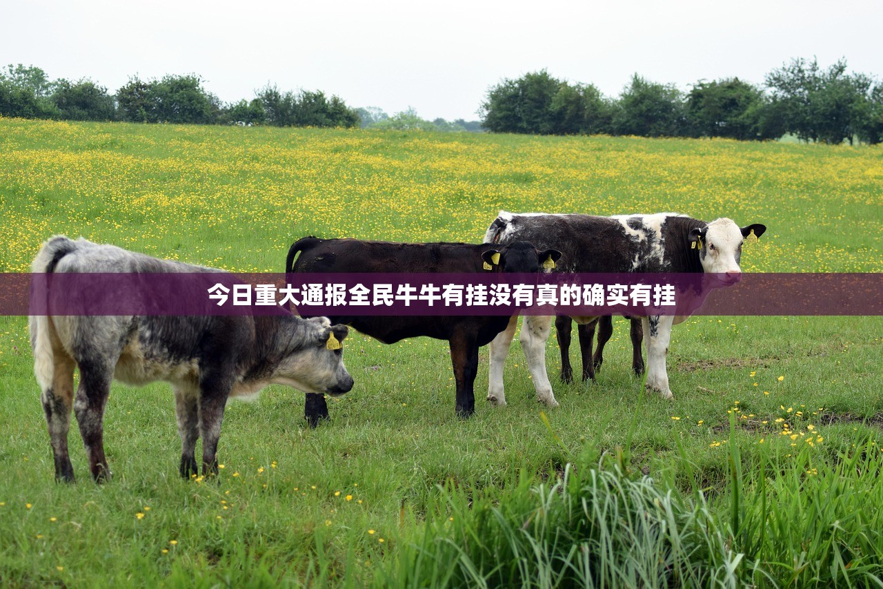 今日重大通报全民牛牛有挂没有真的确实有挂