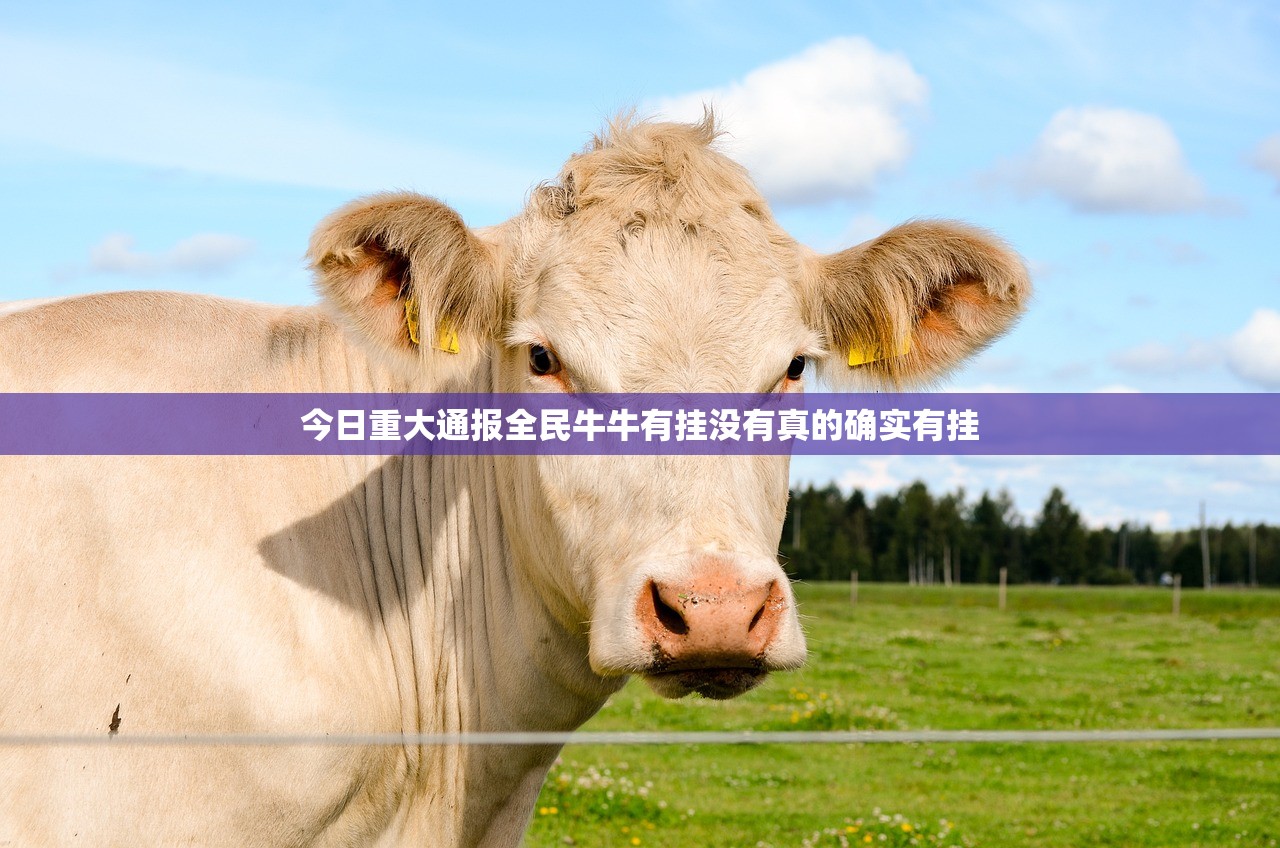 分享实测丫丫麻将开挂在哪里开其实有挂-知乎