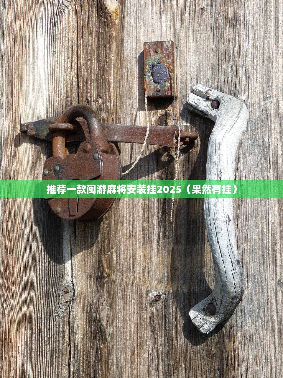 推荐一款闽游麻将安装挂2025(果然有挂) 推荐一款闽游麻将安装挂2025(果然有挂)