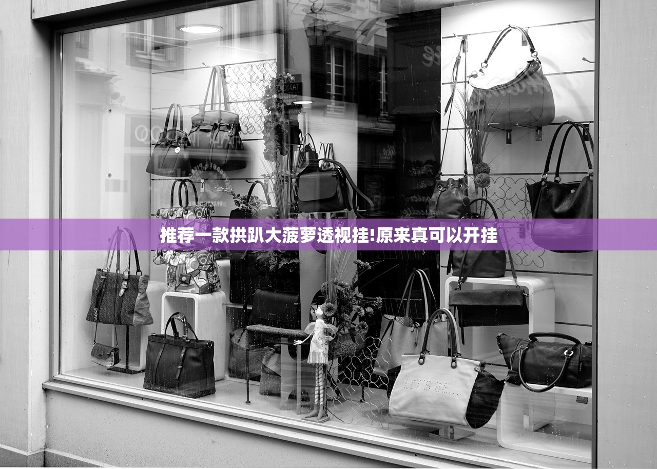 推荐一款拱趴大菠萝透视挂!原来真可以开挂 推荐一款拱趴大菠萝透视挂!原来真可以开挂