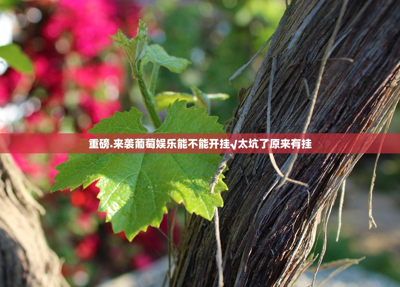 重磅.来袭葡萄娱乐能不能开挂√太坑了原来有挂