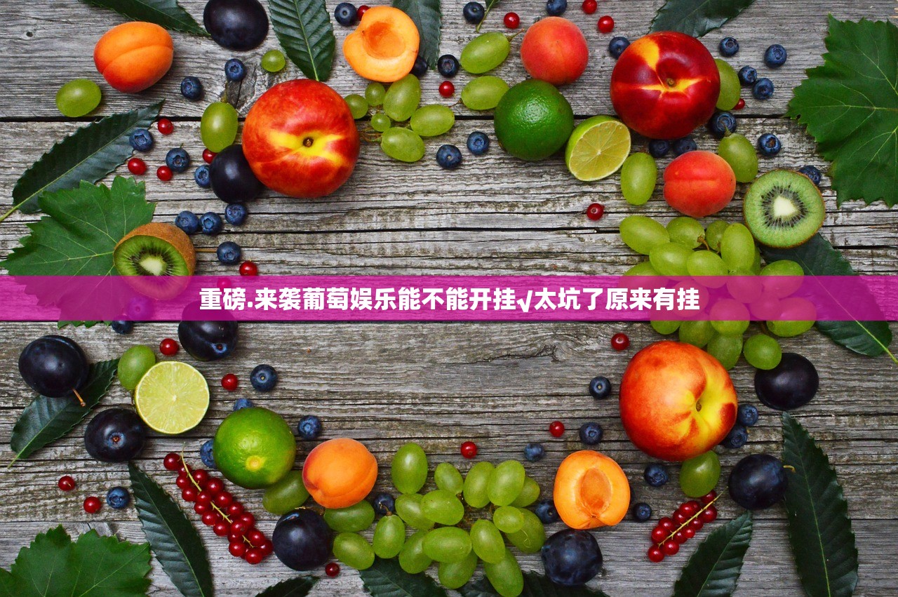重磅.来袭葡萄娱乐能不能开挂√太坑了原来有挂