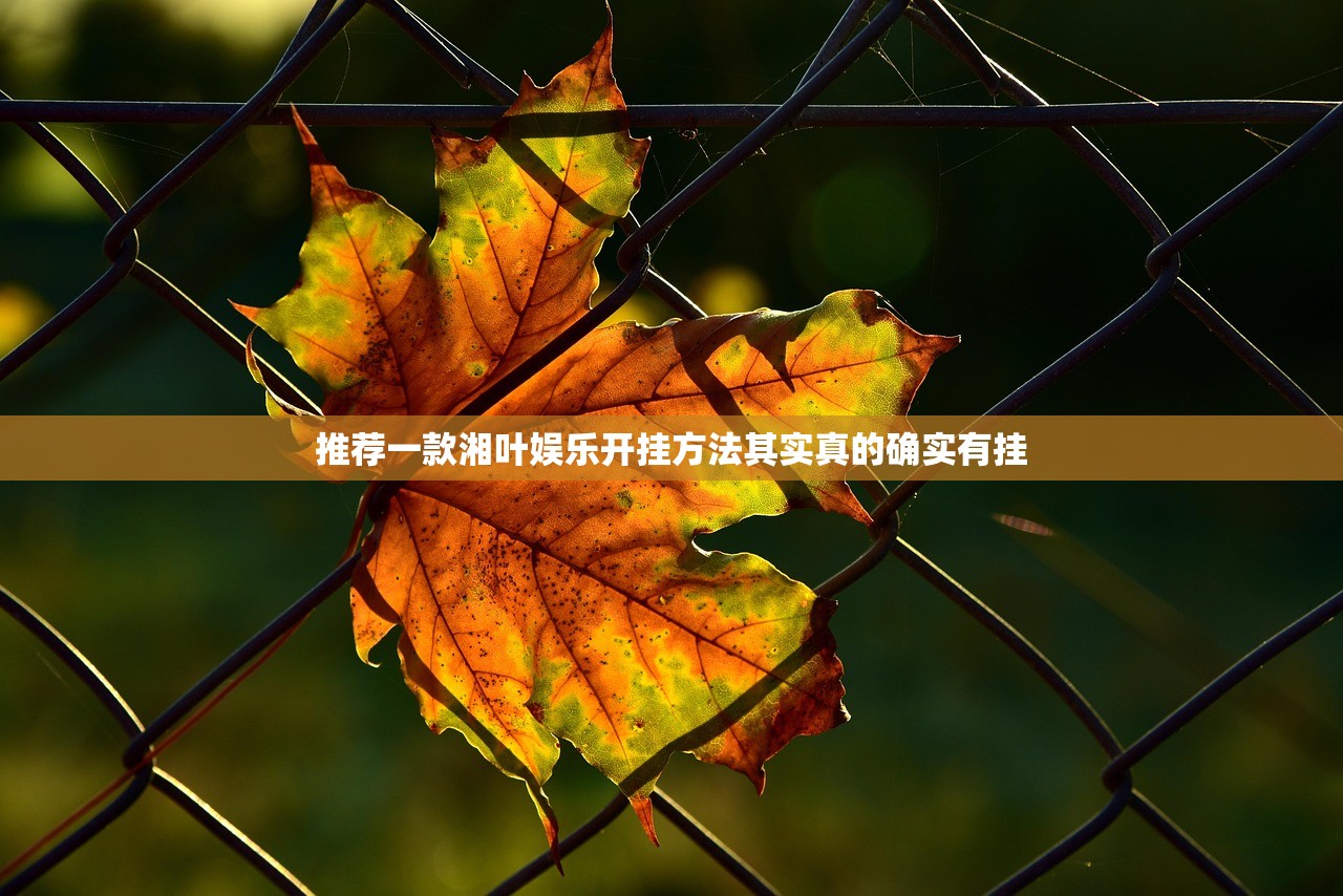 推荐一款湘叶娱乐开挂方法其实真的确实有挂