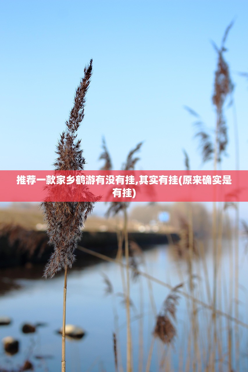 推荐一款家乡鹤游有没有挂,其实有挂(原来确实是有挂)