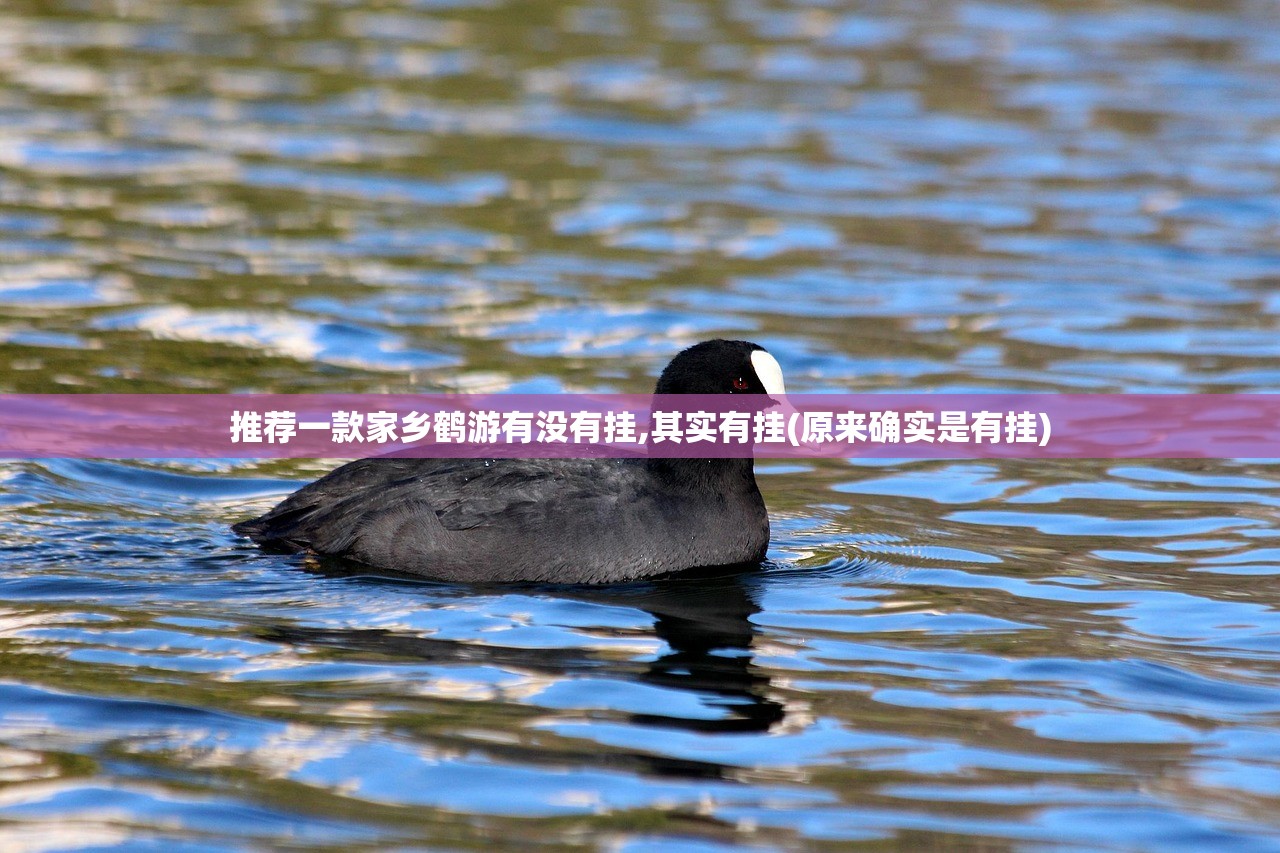 推荐一款家乡鹤游有没有挂,其实有挂(原来确实是有挂)