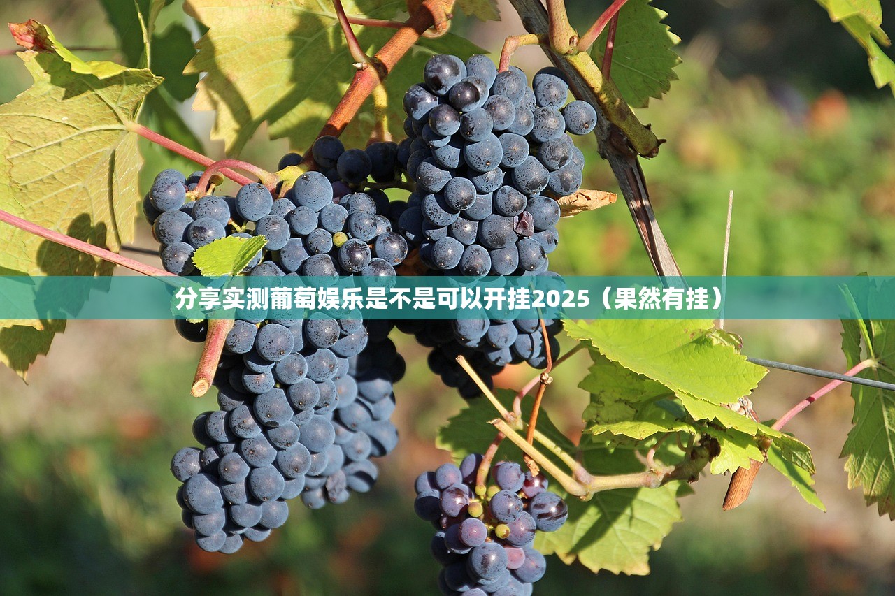 分享实测葡萄娱乐是不是可以开挂2025（果然有挂）