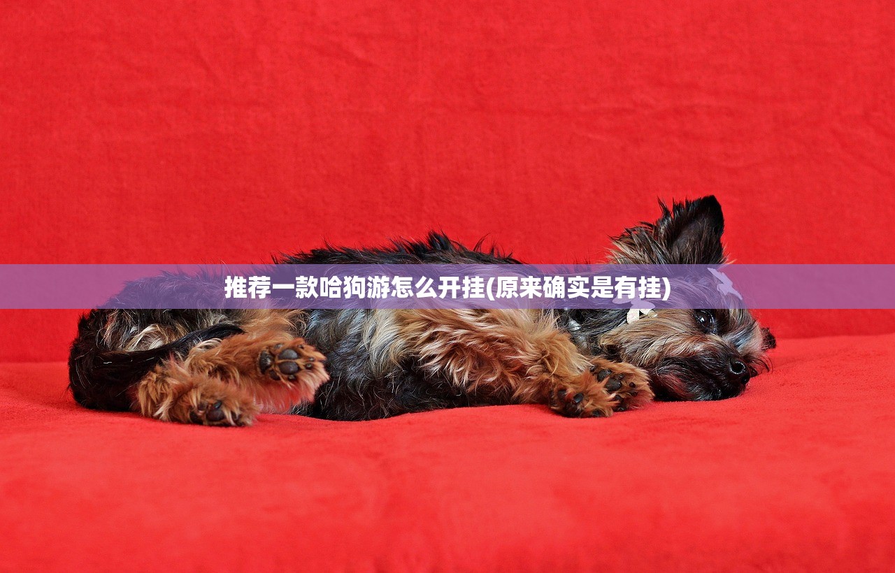 推荐一款哈狗游怎么开挂(原来确实是有挂)
