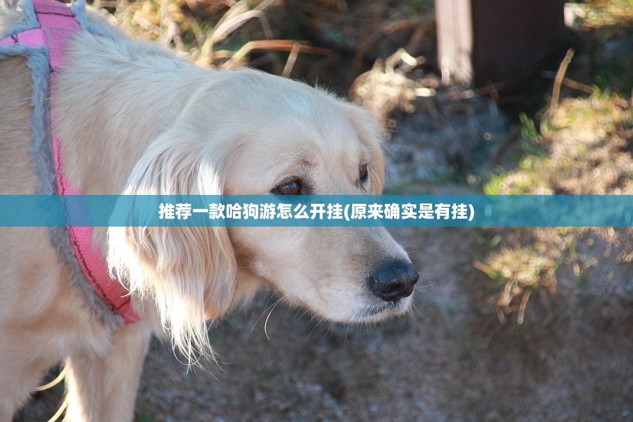 分享实测姚记娱乐大联盟必赢神器原来真可以开挂