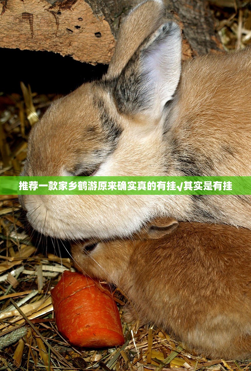 推荐一款微乐卡五星有没有辅助 其实确实有挂
